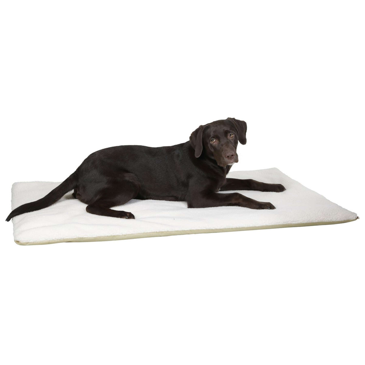 Kerbl Cojín para Perro Beige