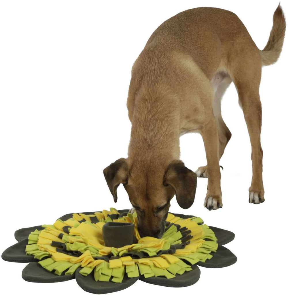 Kerbl Alfombra Olfativa Español: Girasol Amarillo/Verde