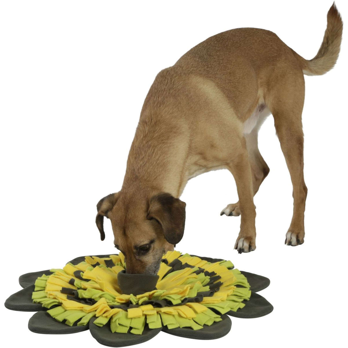 Kerbl Alfombra Olfativa Español: Girasol Amarillo/Verde