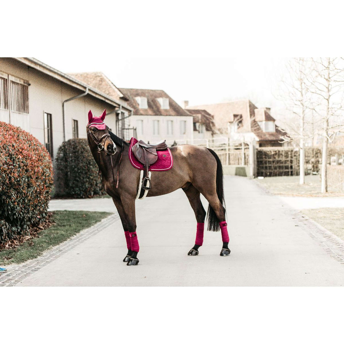 Kentucky Horsewear Mantilla Velvet Springen Fuchsia