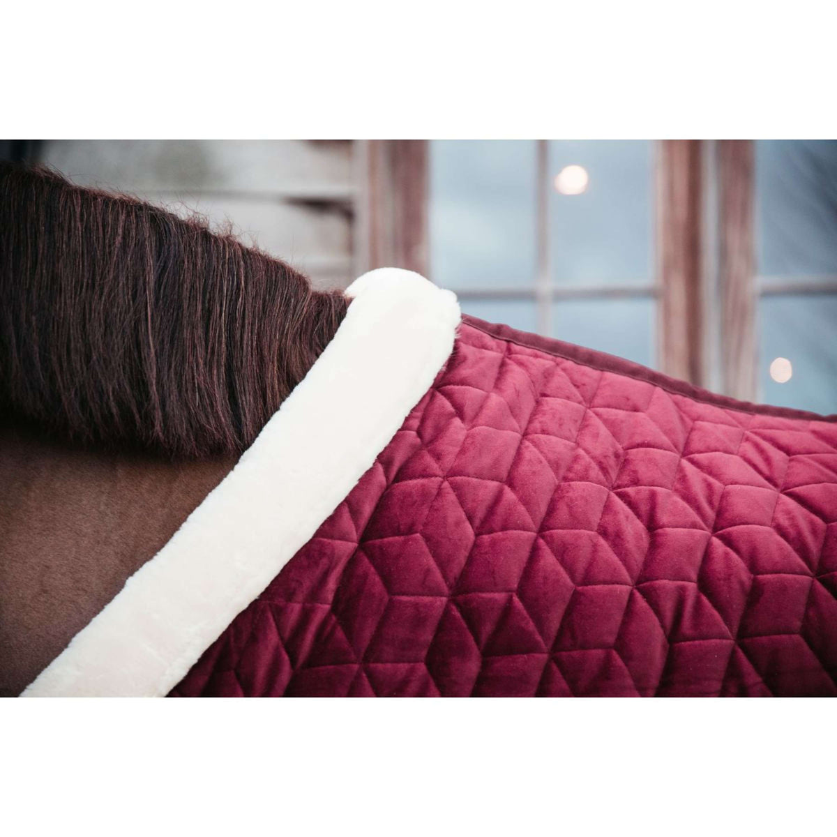 Kentucky Horsewear Manta de exhibición Velvet Bordeaux