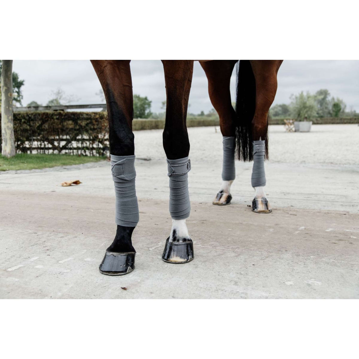 Kentucky Horsewear Vendajes Polar Fleece Polar Fleece Perlas Gris