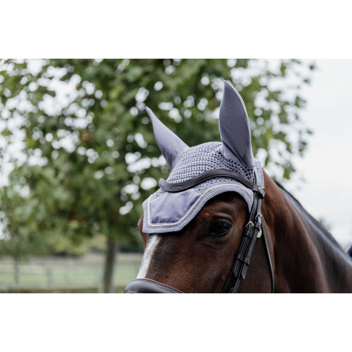 Kentucky Horsewear Bonete para Orejas Wellington Velvet Morado