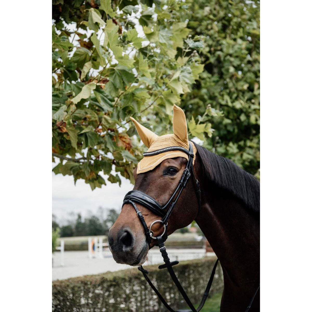Kentucky Horsewear Bonete para Orejas Wellington Velvet Mostaza