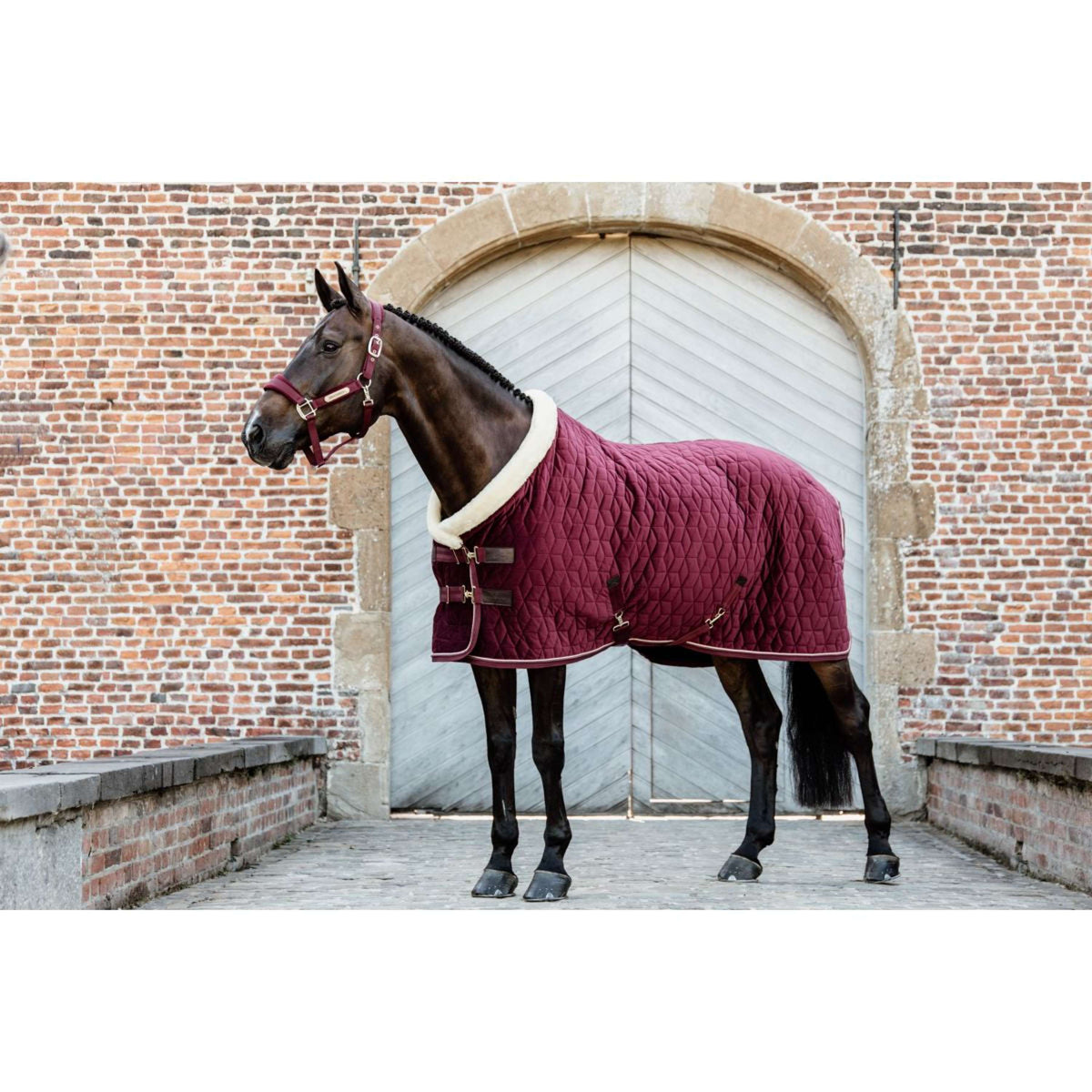 Kentucky Horsewear Manta de exhibición Velvet Bordeaux