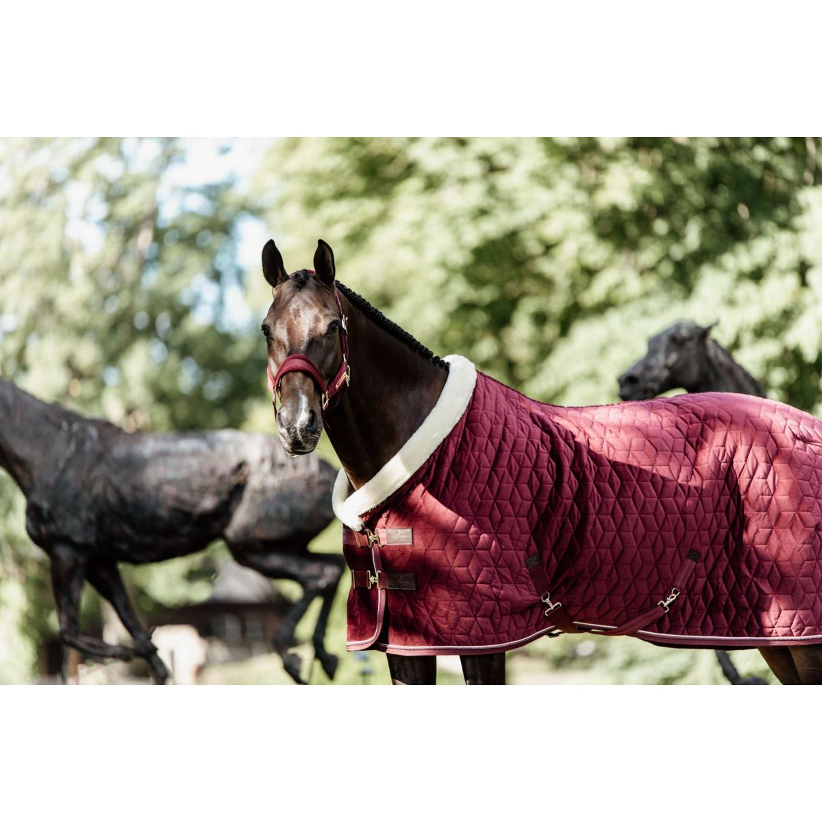 Kentucky Horsewear Manta de exhibición Velvet Bordeaux Kentucky Horsewear Manta de exhibición Velvet Bordeaux