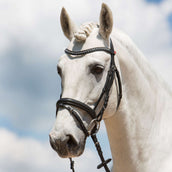 Kieffer Brida Fashion Negro