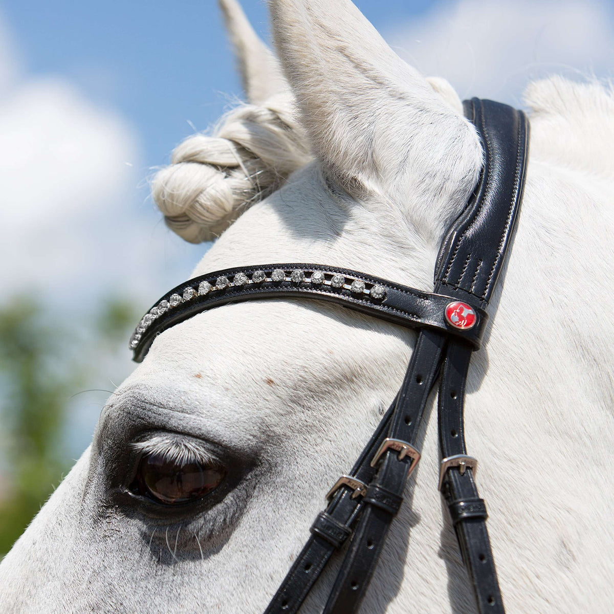 Kieffer Brida Fashion Negro