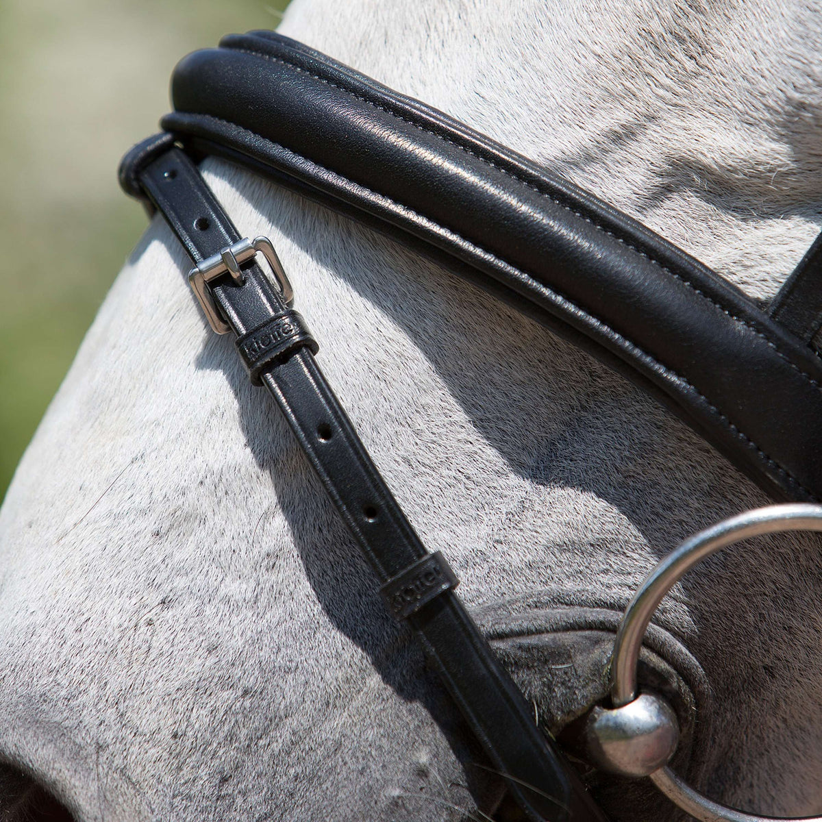 Kieffer Brida Fashion Negro