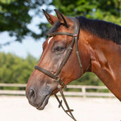 Kieffer sin bits Kendra Marron