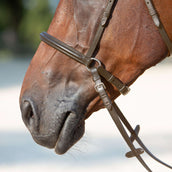 Kieffer sin bits Kendra Marron