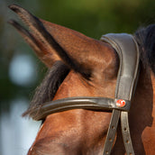 Kieffer sin bits Kendra Marron