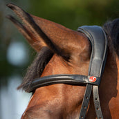 Kieffer sin bits Kendra Negro