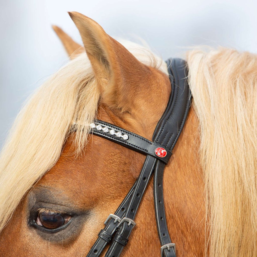 Kieffer Brida Ultrasoft Haflinger Negro/Blancas Piedras