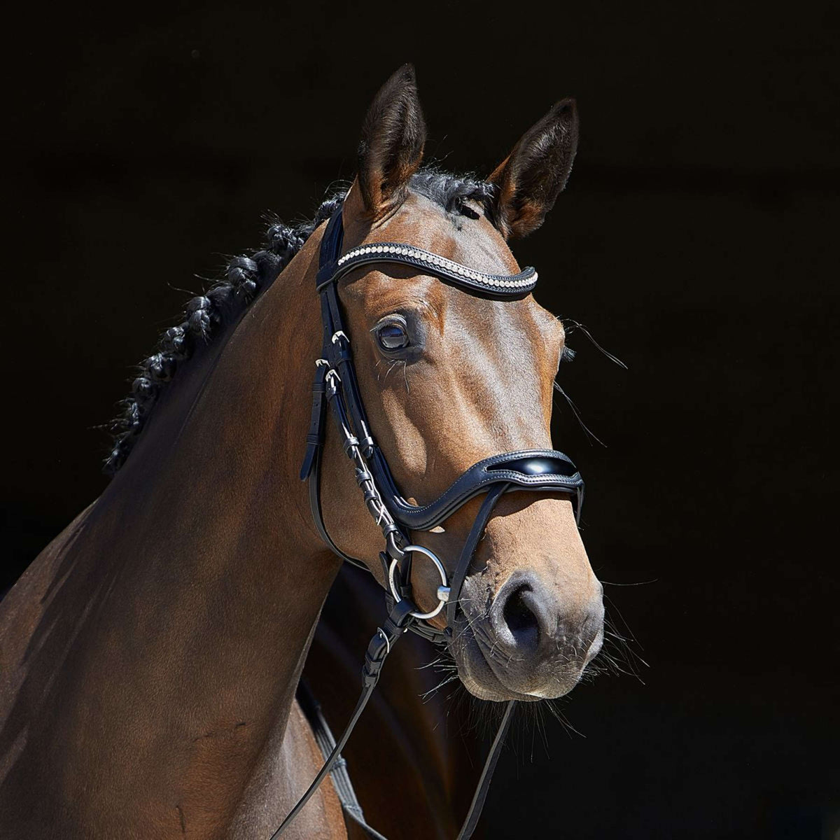 Kieffer Brida Negro/Laca