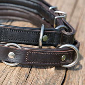 Kieffer Collar para Perro Ultrasoft Dressage Negro