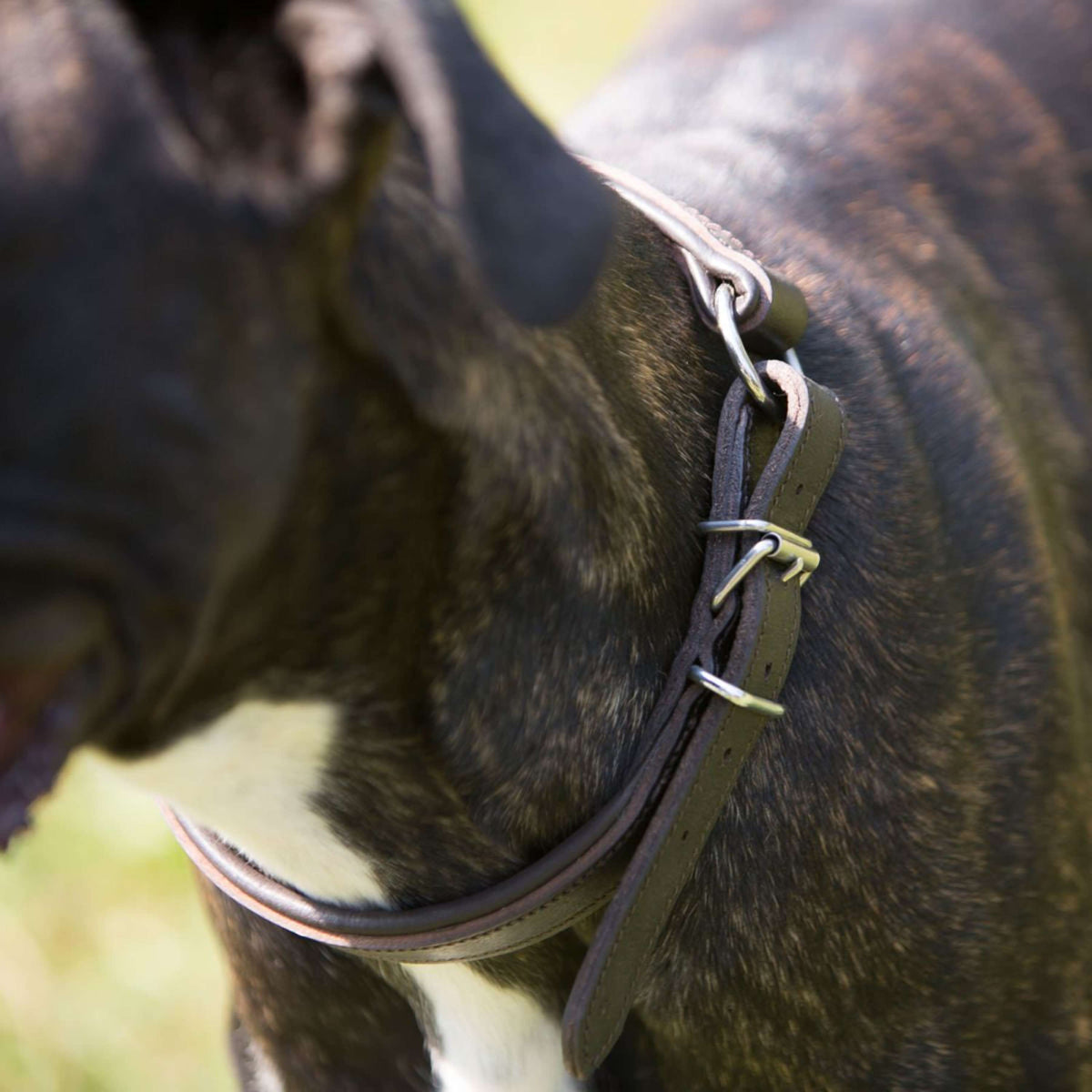 Kieffer Collar para Perro Ultrasoft Dressage Negro