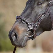 Kieffer Cabezón Utrasoft Marron