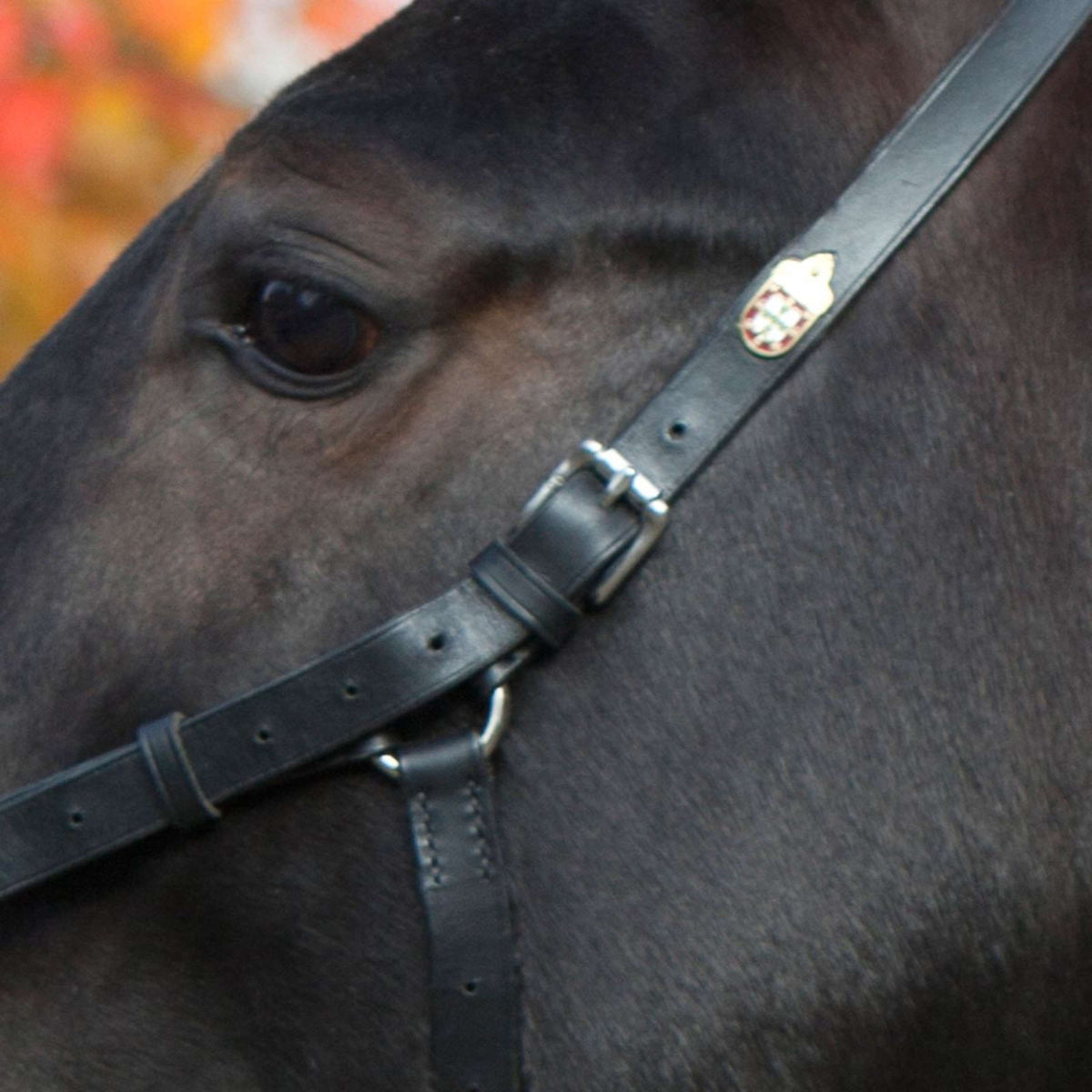 Kieffer Cabezón Perfect Negro