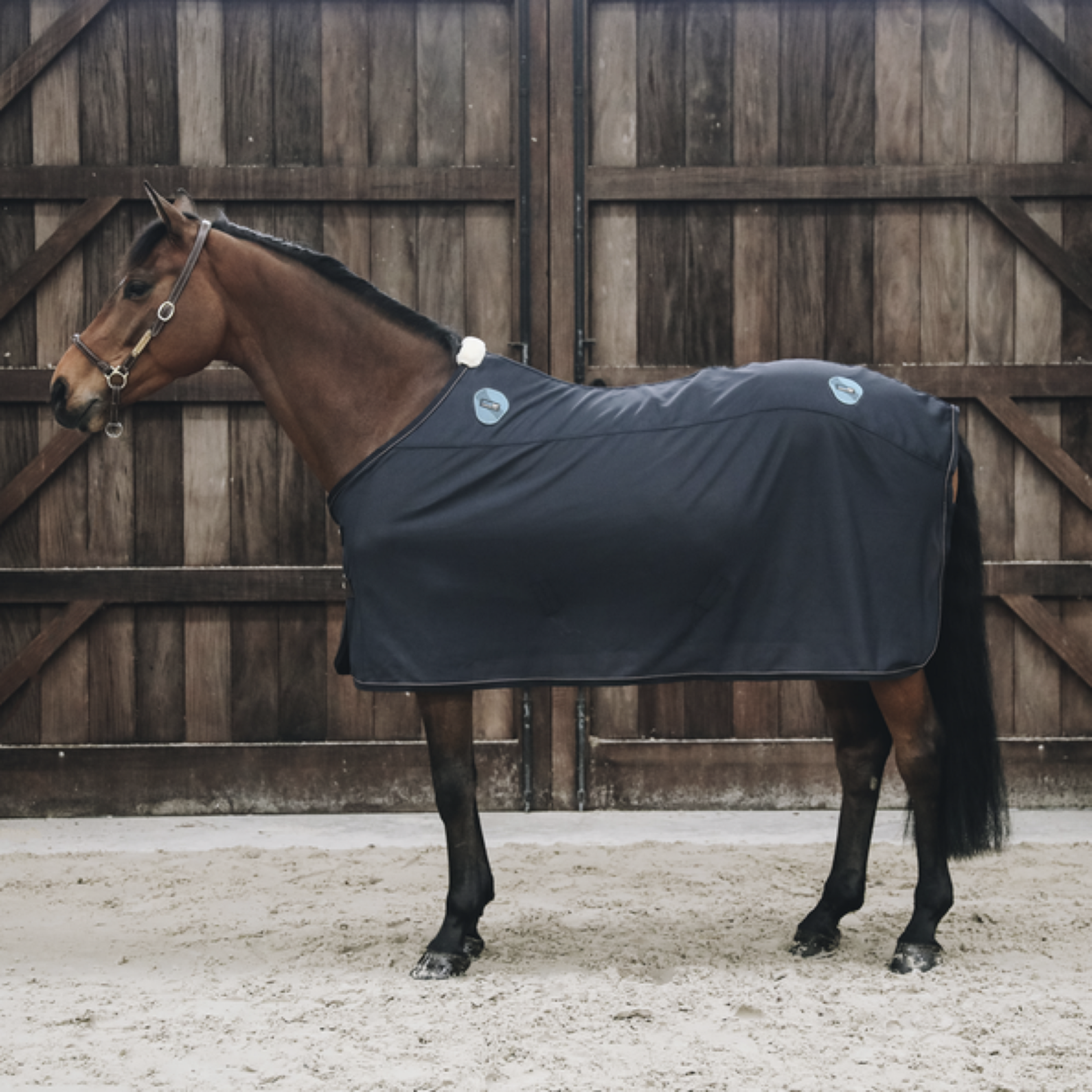 Kentucky Horsewear Parte trasera magnética Recuptex