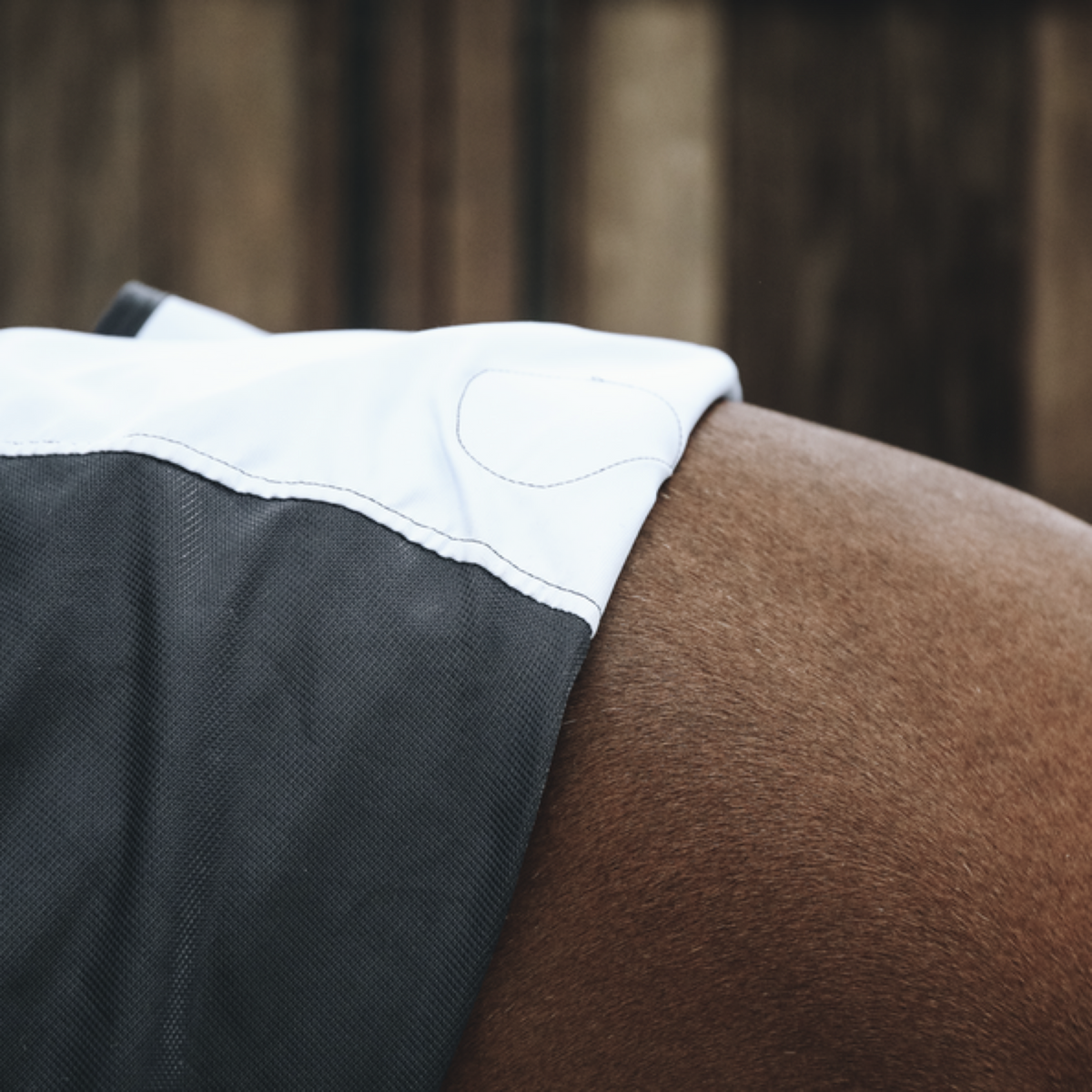 Kentucky Horsewear Parte trasera magnética Recuptex