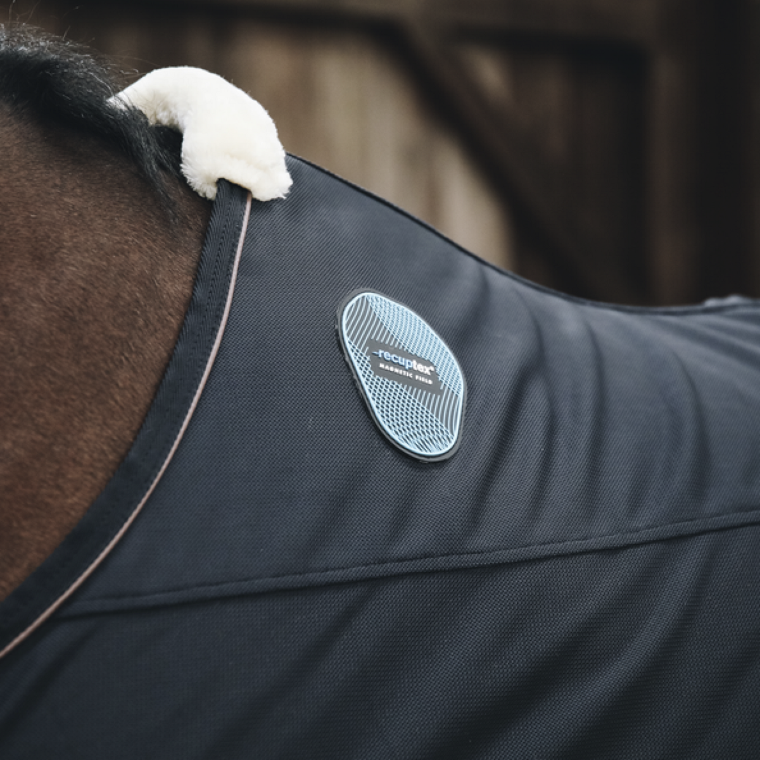 Kentucky Horsewear Parte trasera magnética Recuptex Kentucky Horsewear Parte trasera magnética Recuptex