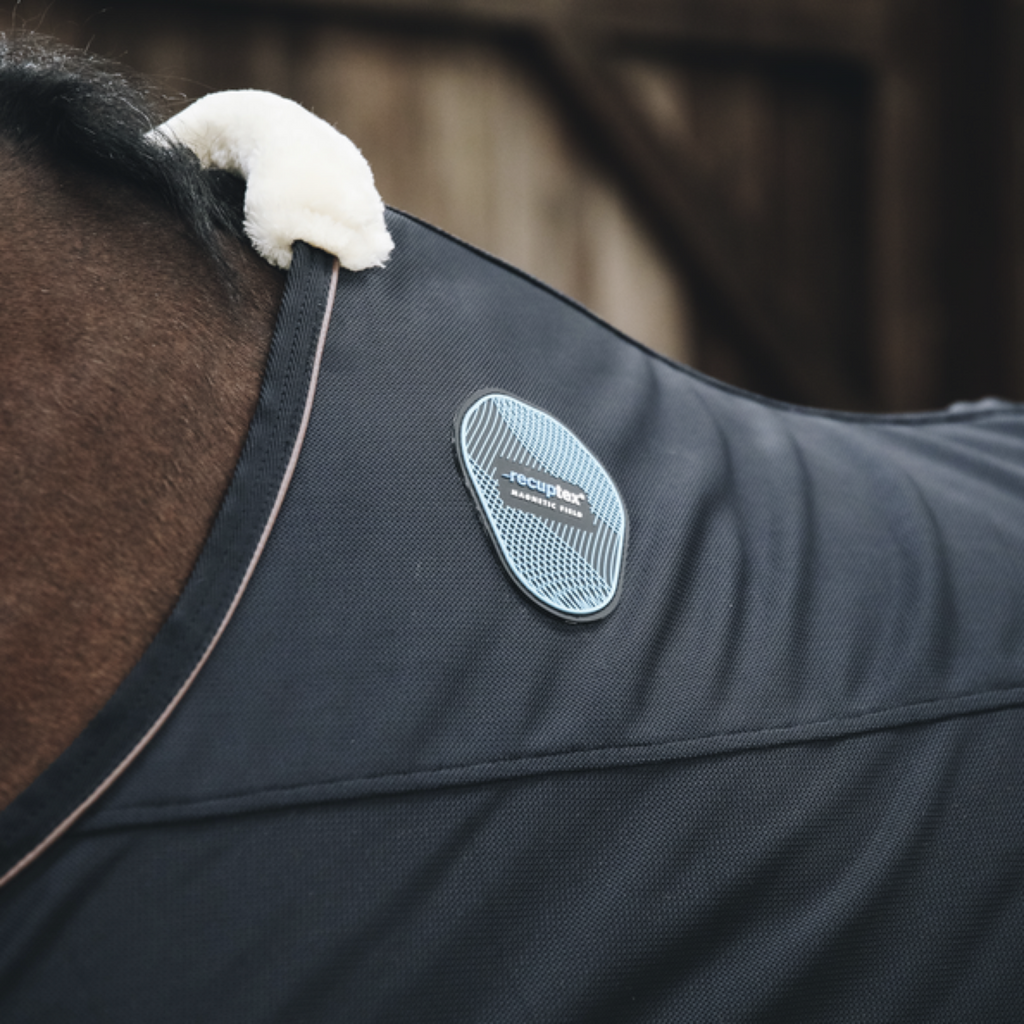 Kentucky Horsewear Parte trasera magnética Recuptex