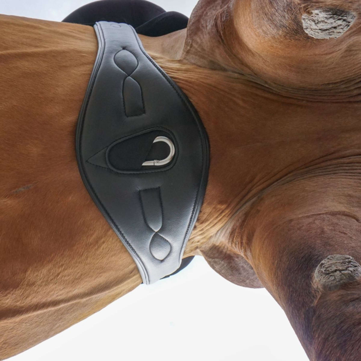 Kavalkade Cincha Comfort sin elástico Negro