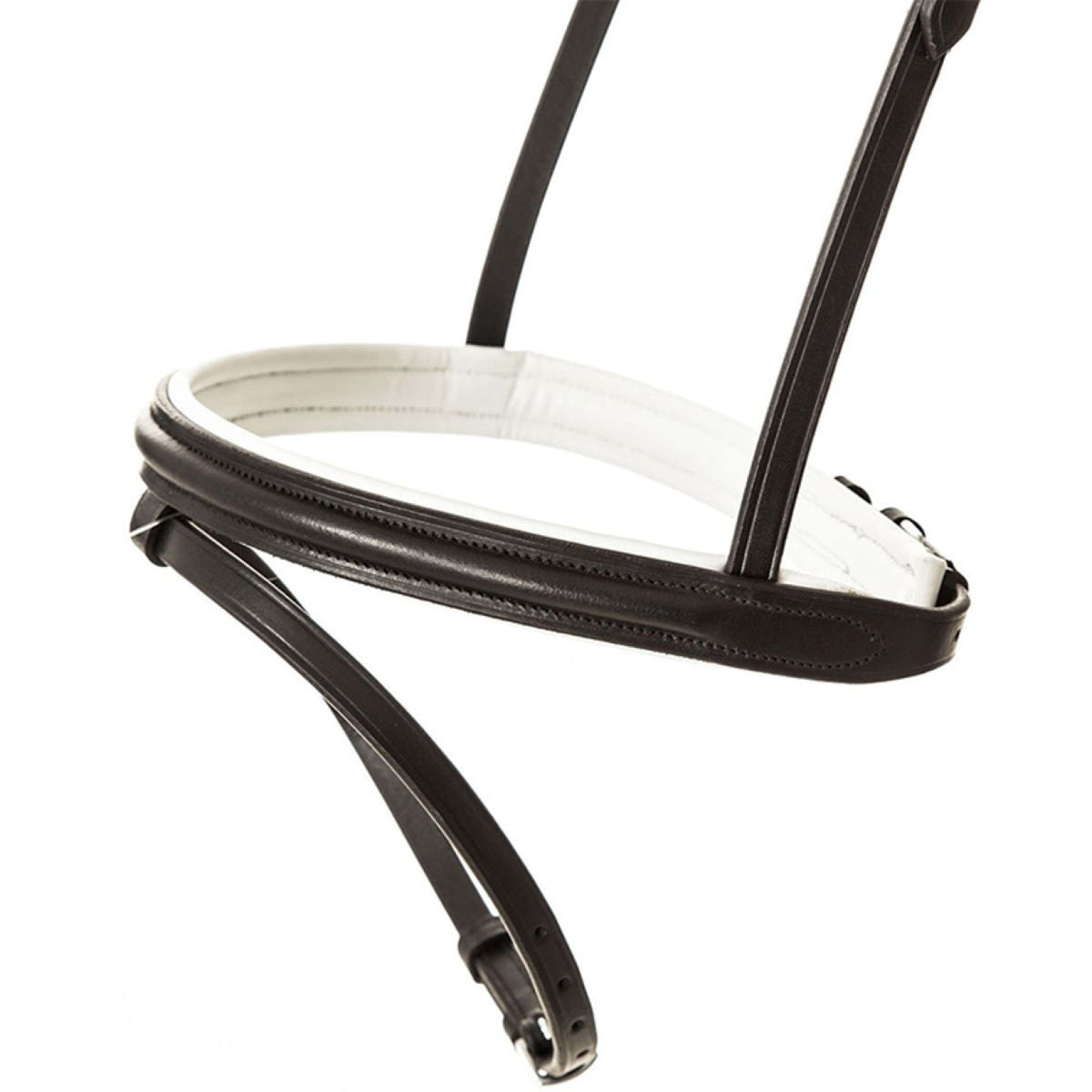 Kavalkade Brida Quentin Cabezada Inglesa Negro