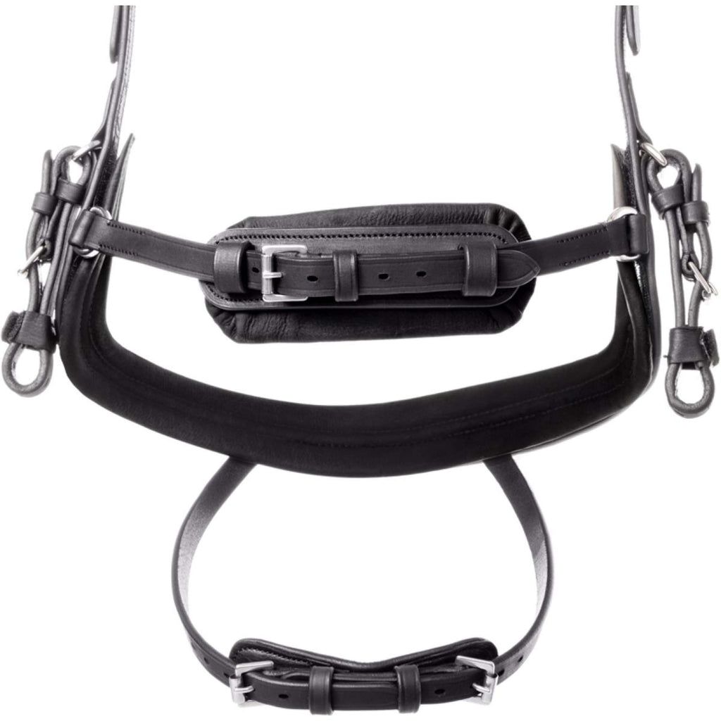 Kavalkade Brida Caliano Negro/Plata