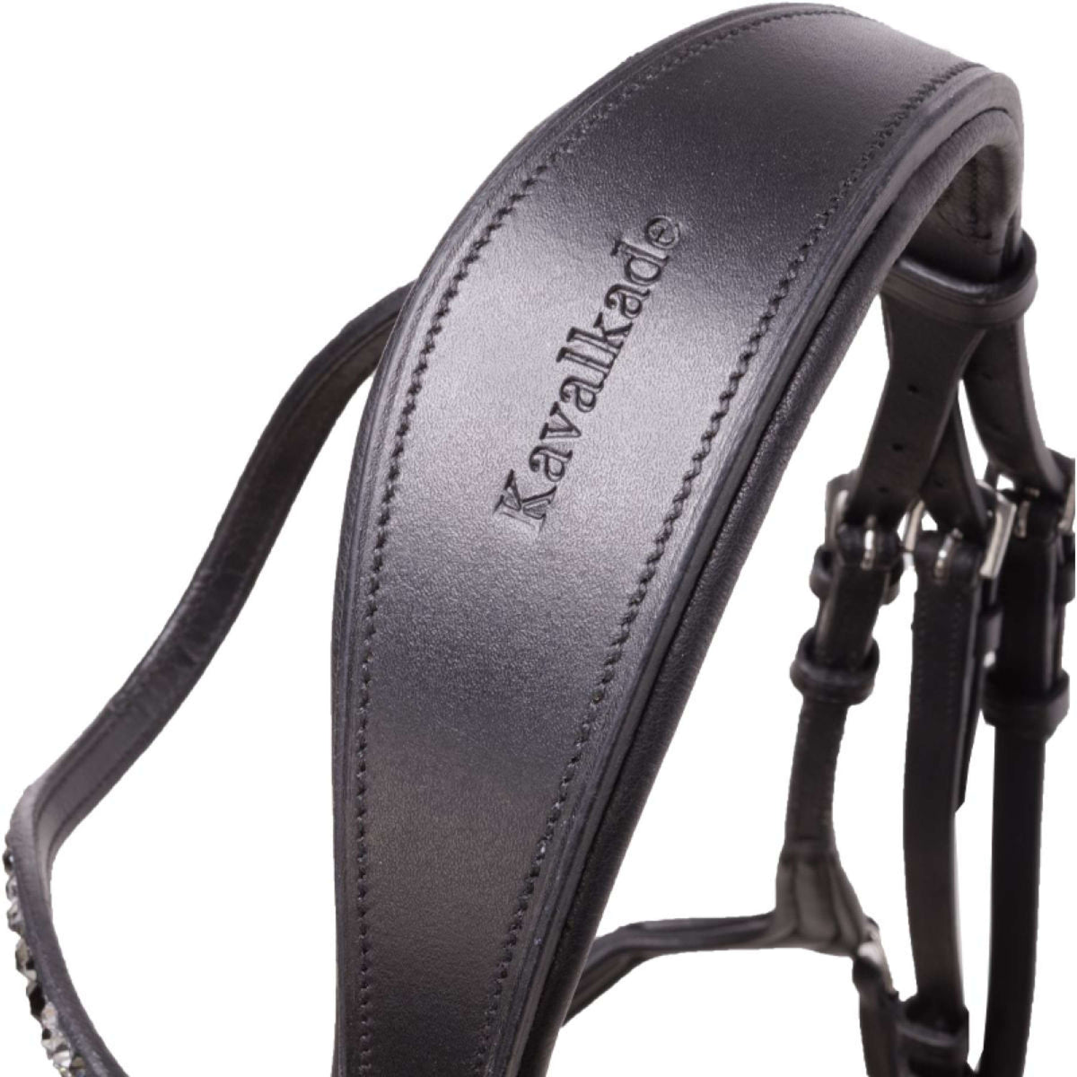 Kavalkade Brida Ivana Negro