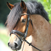 Kavalkade Brida Clinchesse Marron<>Plata<>Gris