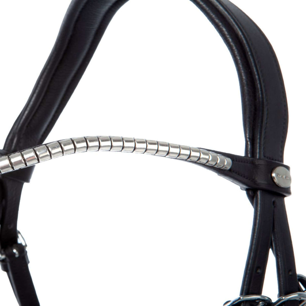 Kavalkade Brida Clinchesse Negro/Plata