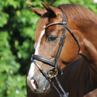 Kavalkade Brida Clinchesse Marron/Laton
