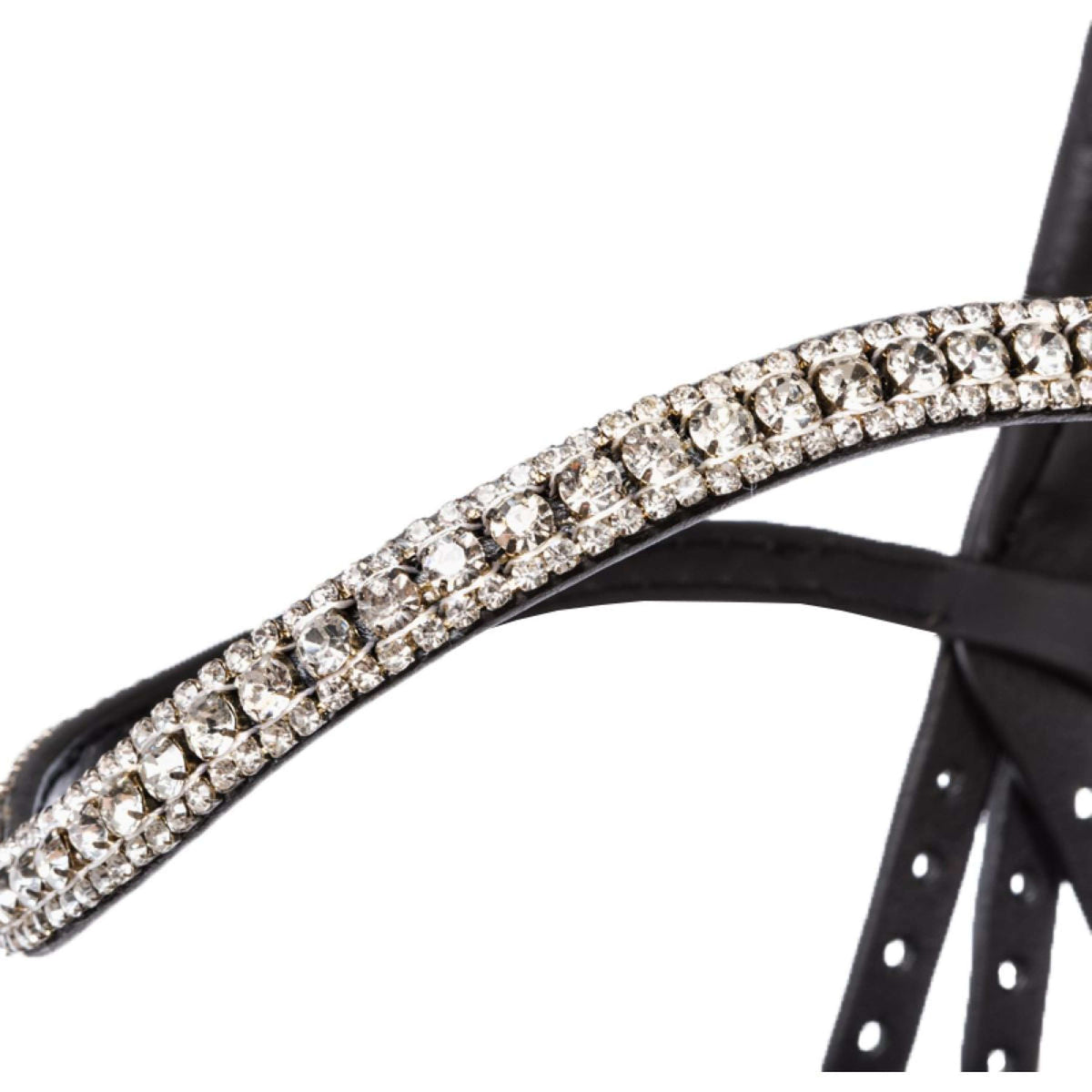 Kavalkade Cabezada Everness Negro