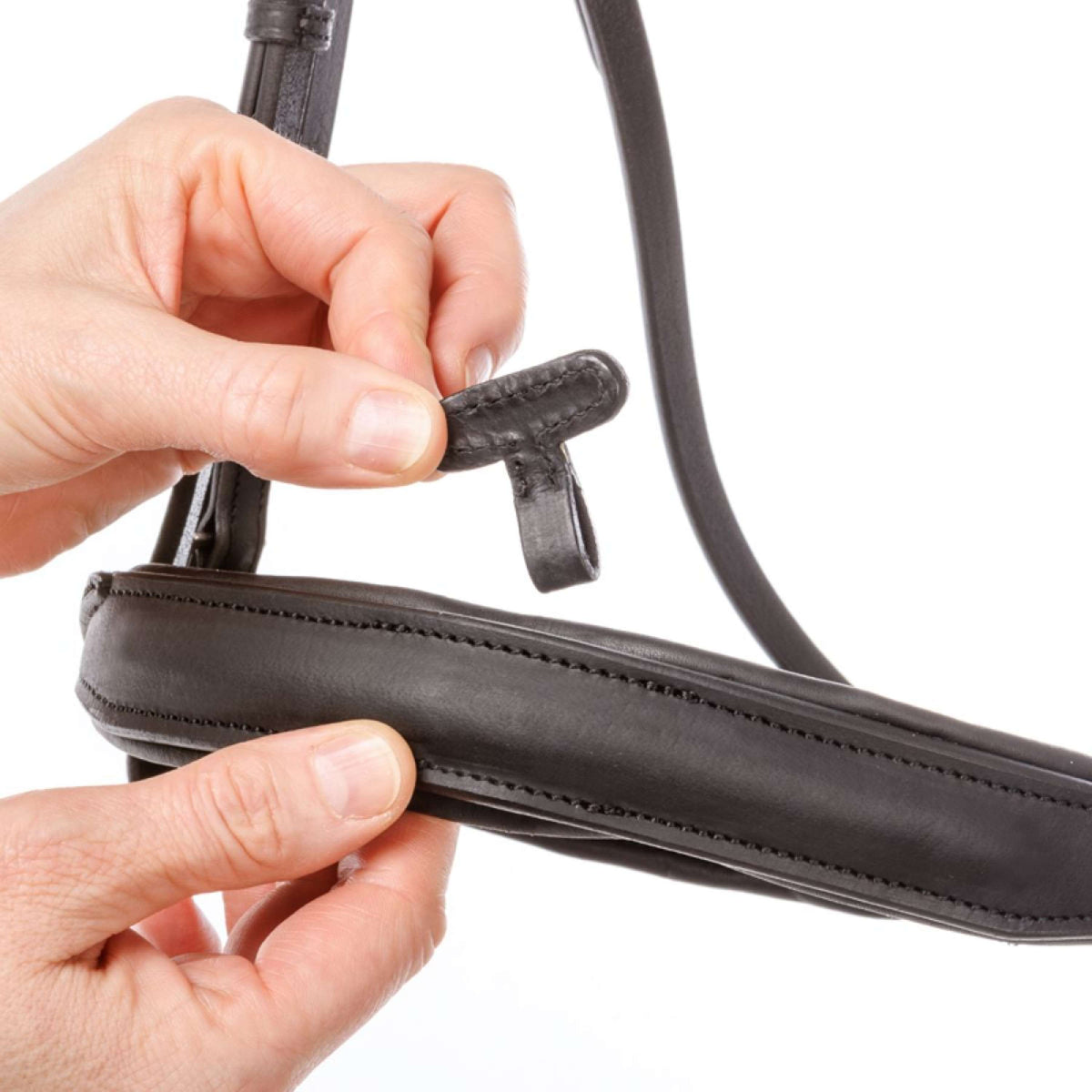 Kavalkade Cabezada Everness Negro