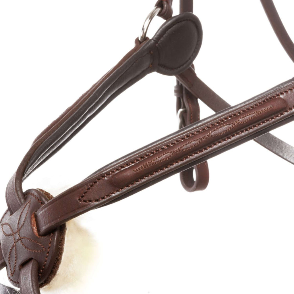 Kavalkade Brida Everado Mexicano Marron