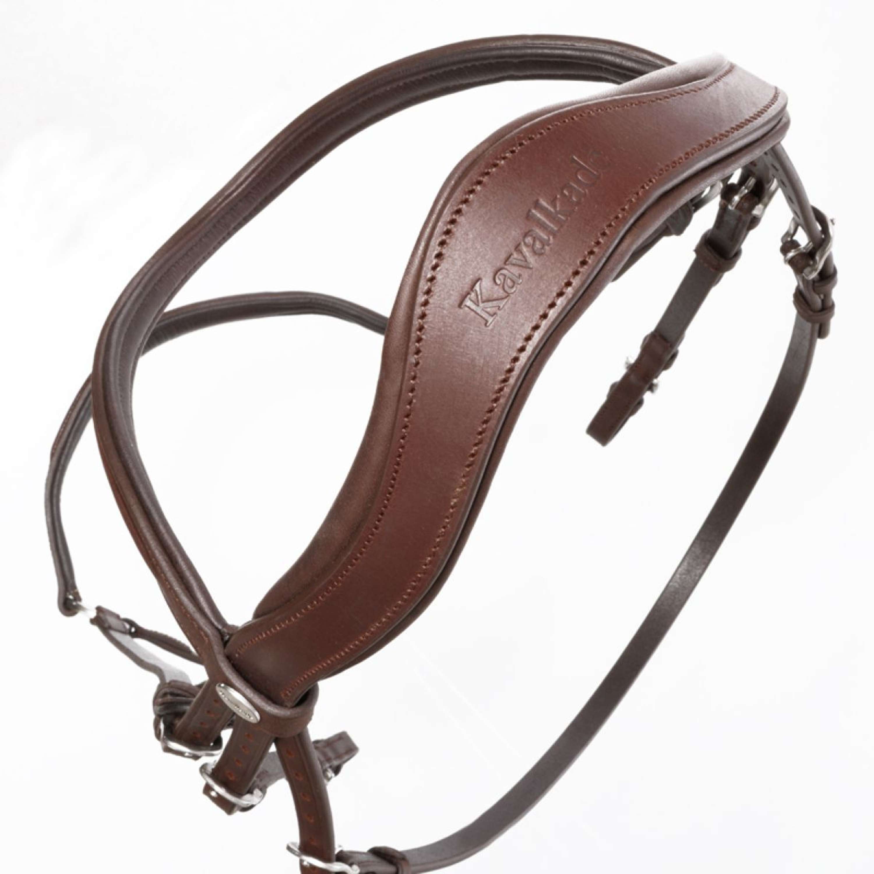 Kavalkade Brida Everana Hannover Marron