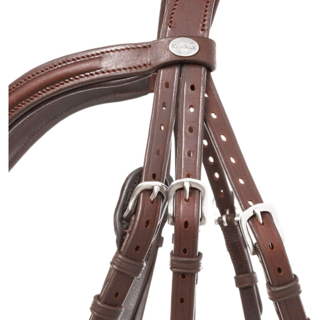 Kavalkade Brida Everana Hannover Marron