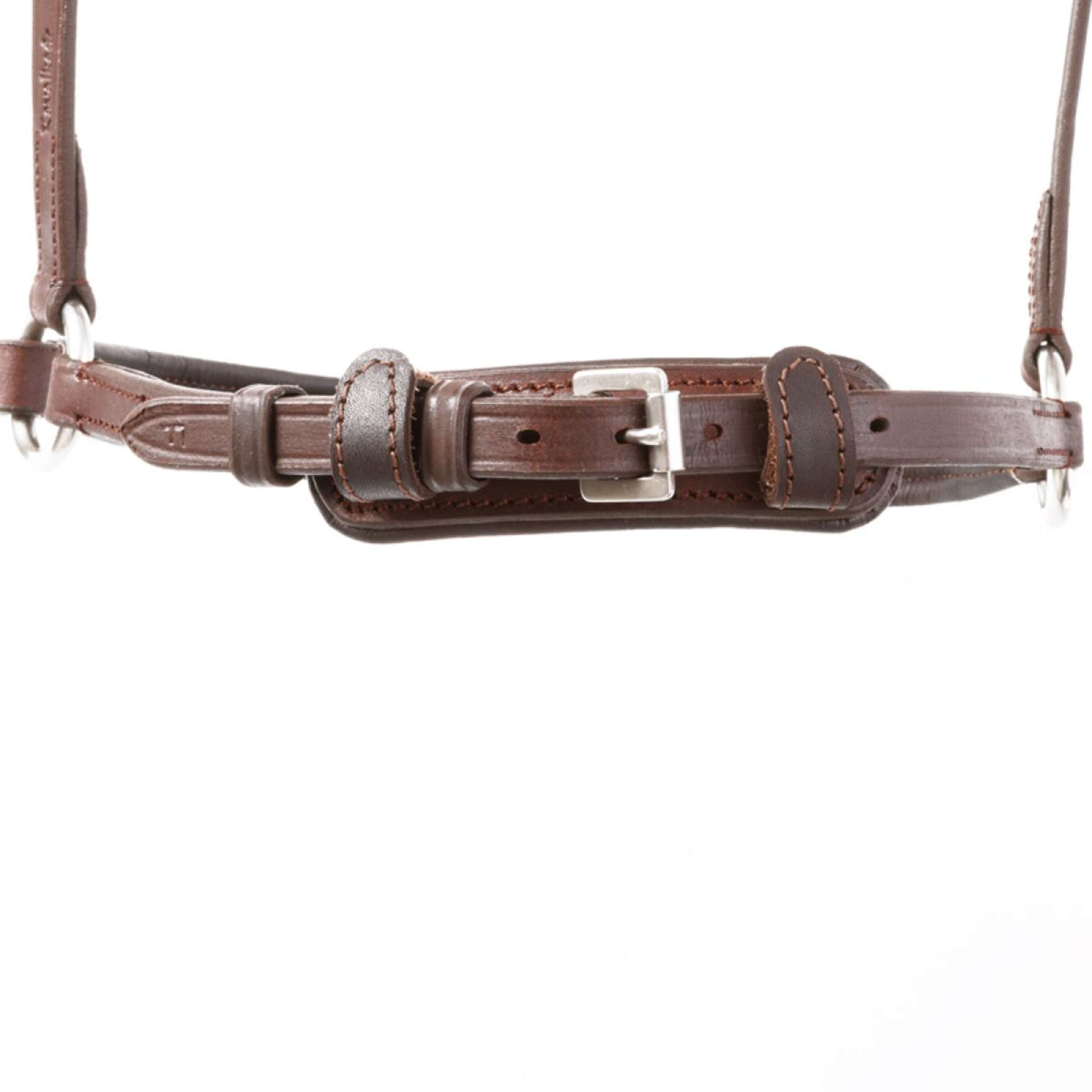 Kavalkade Brida Everana Hannover Marron