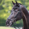 Kavalkade Brida Everana Hannover Negro