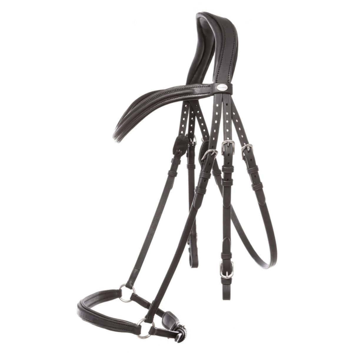 Kavalkade Brida Everana Hannover Negro