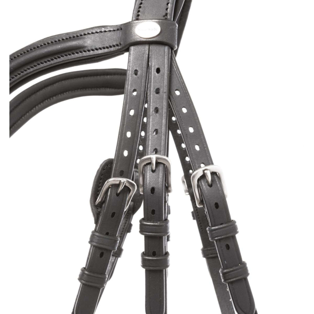 Kavalkade Brida Everana Hannover Negro
