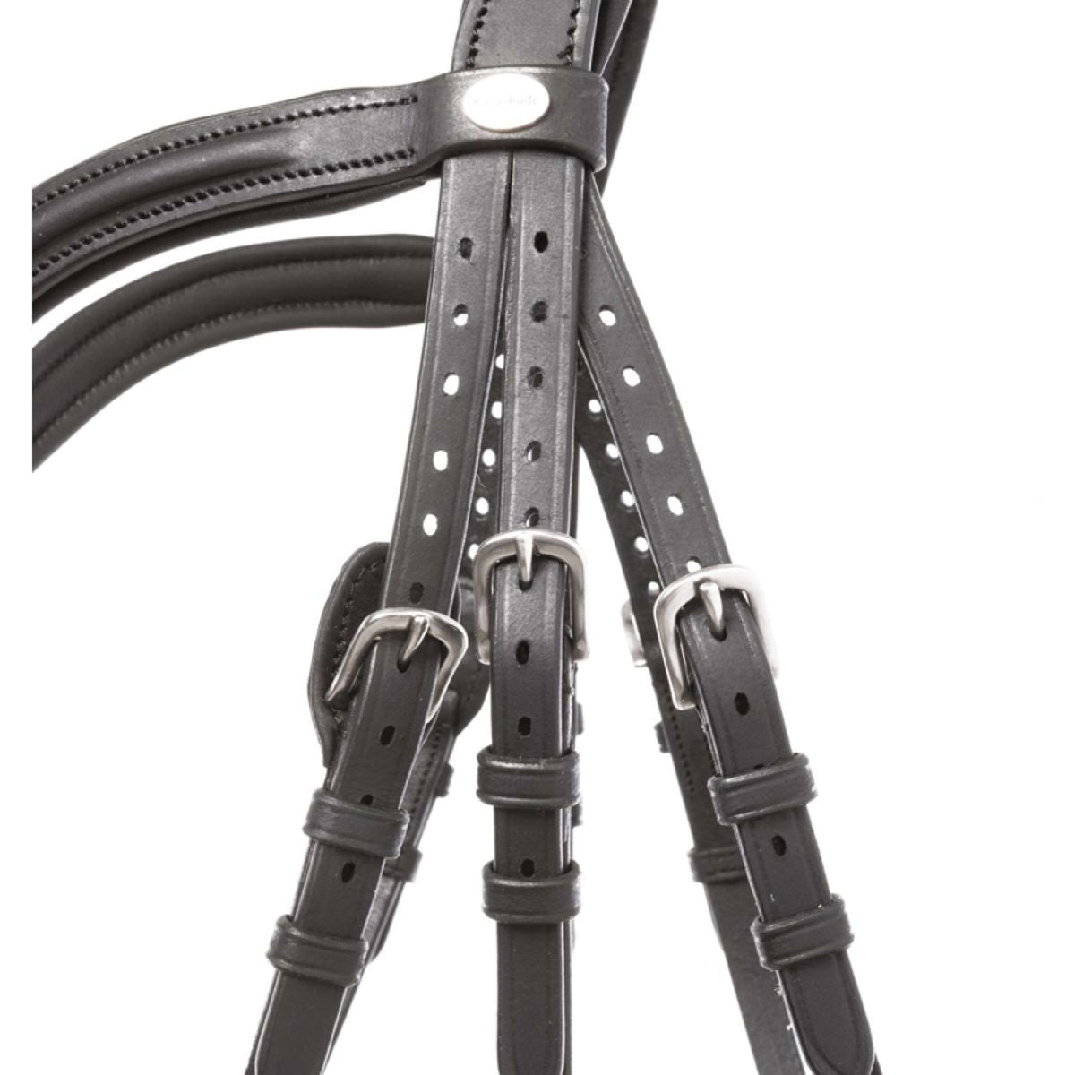 Kavalkade Brida Everana Hannover Negro