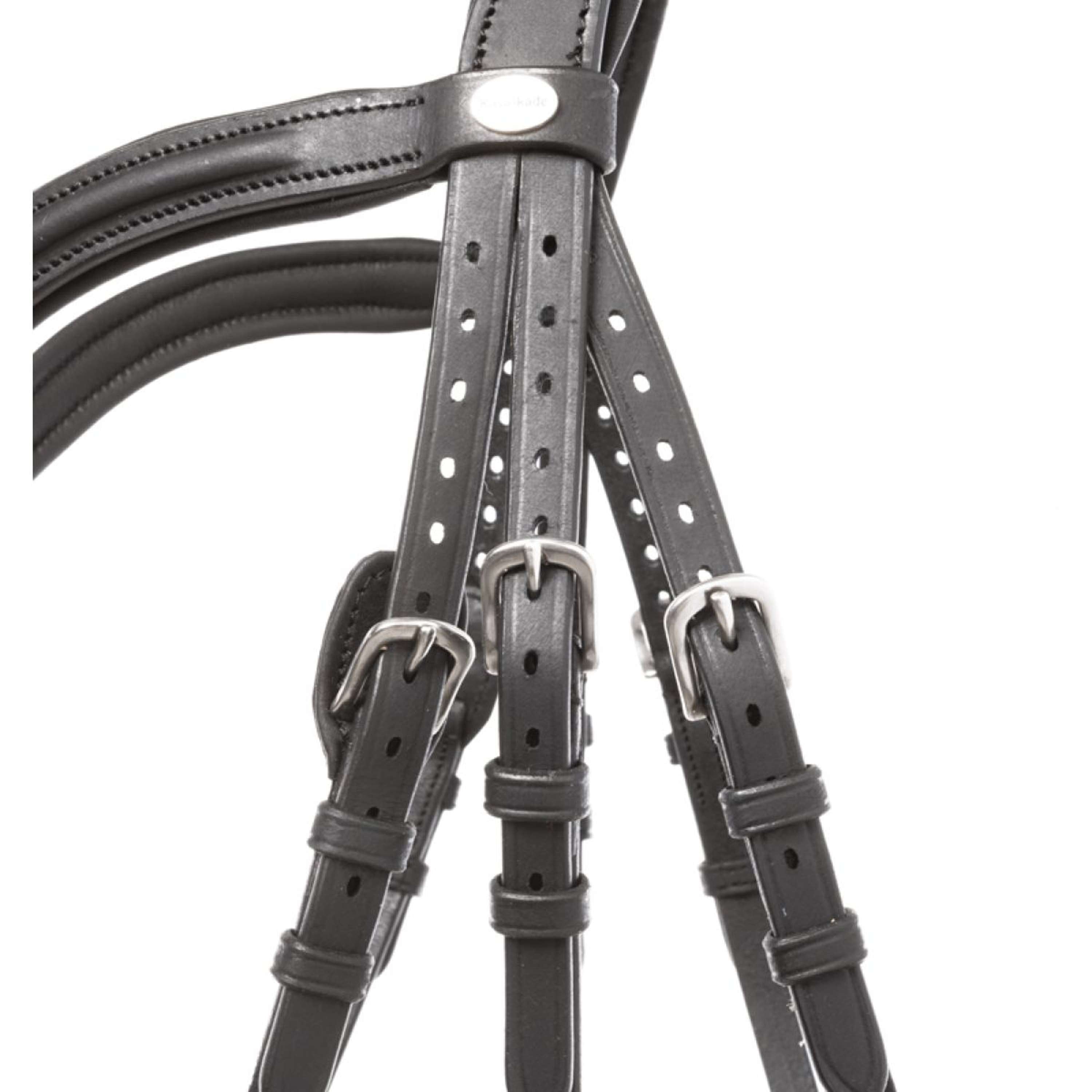 Kavalkade Brida Everana Hannover Negro