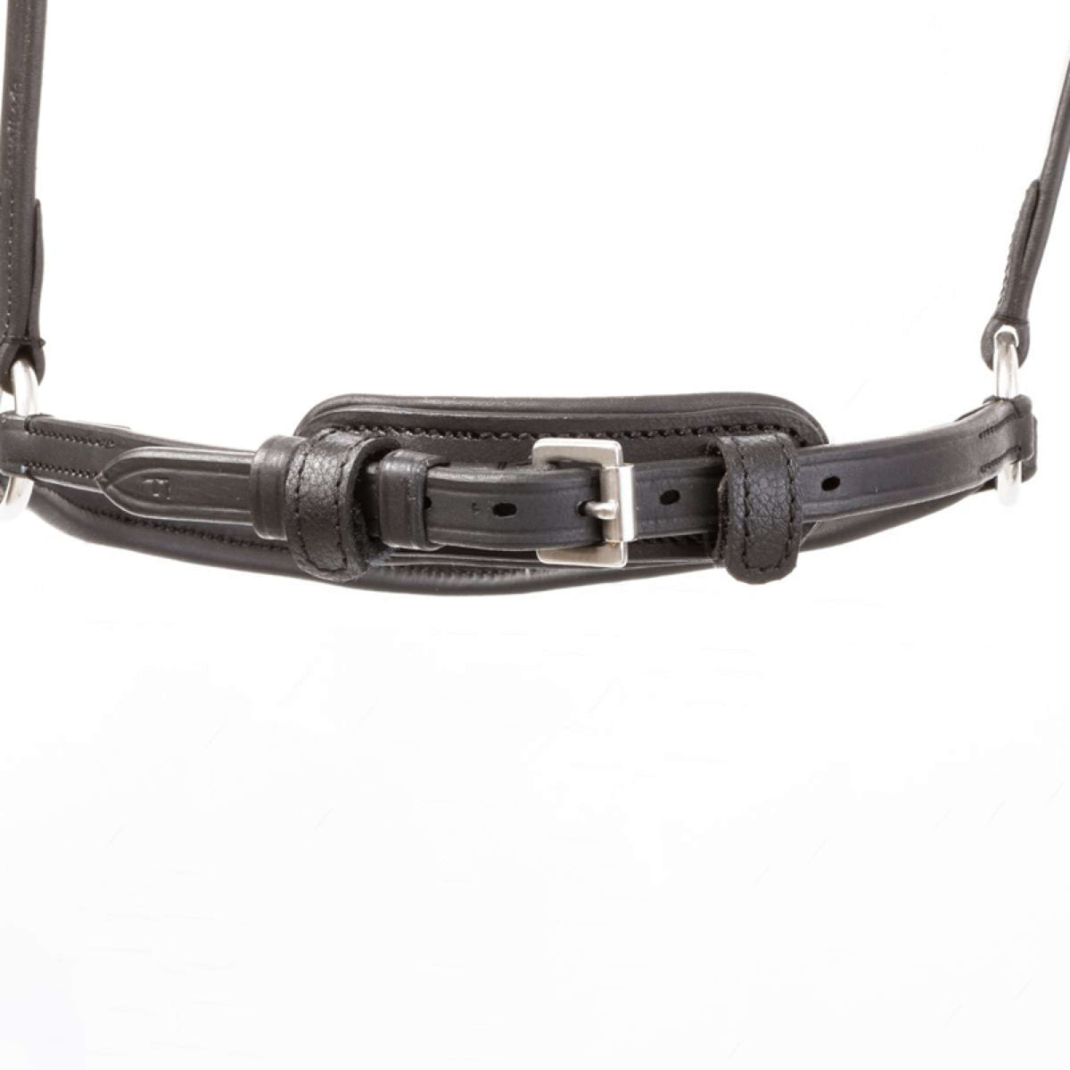 Kavalkade Brida Everana Hannover Negro