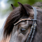 Kavalkade Frontal Button Cierre de botón Candy