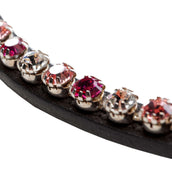 Kavalkade Frontal Splendid Gebogen Negro/Rosa