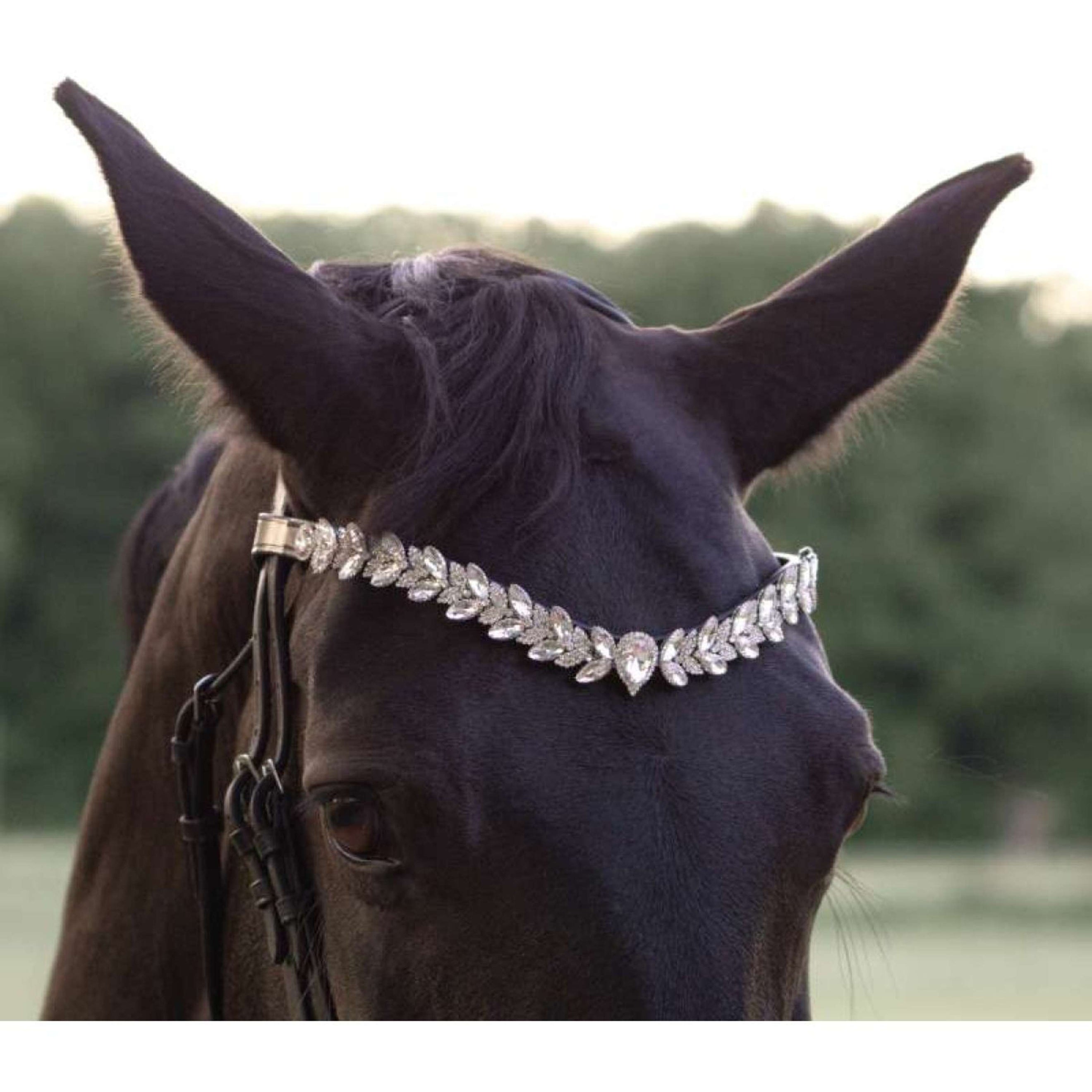 Kavalkade Frontal Exquisite Negro/Blanco Kavalkade Frontal Exquisite Negro/Blanco