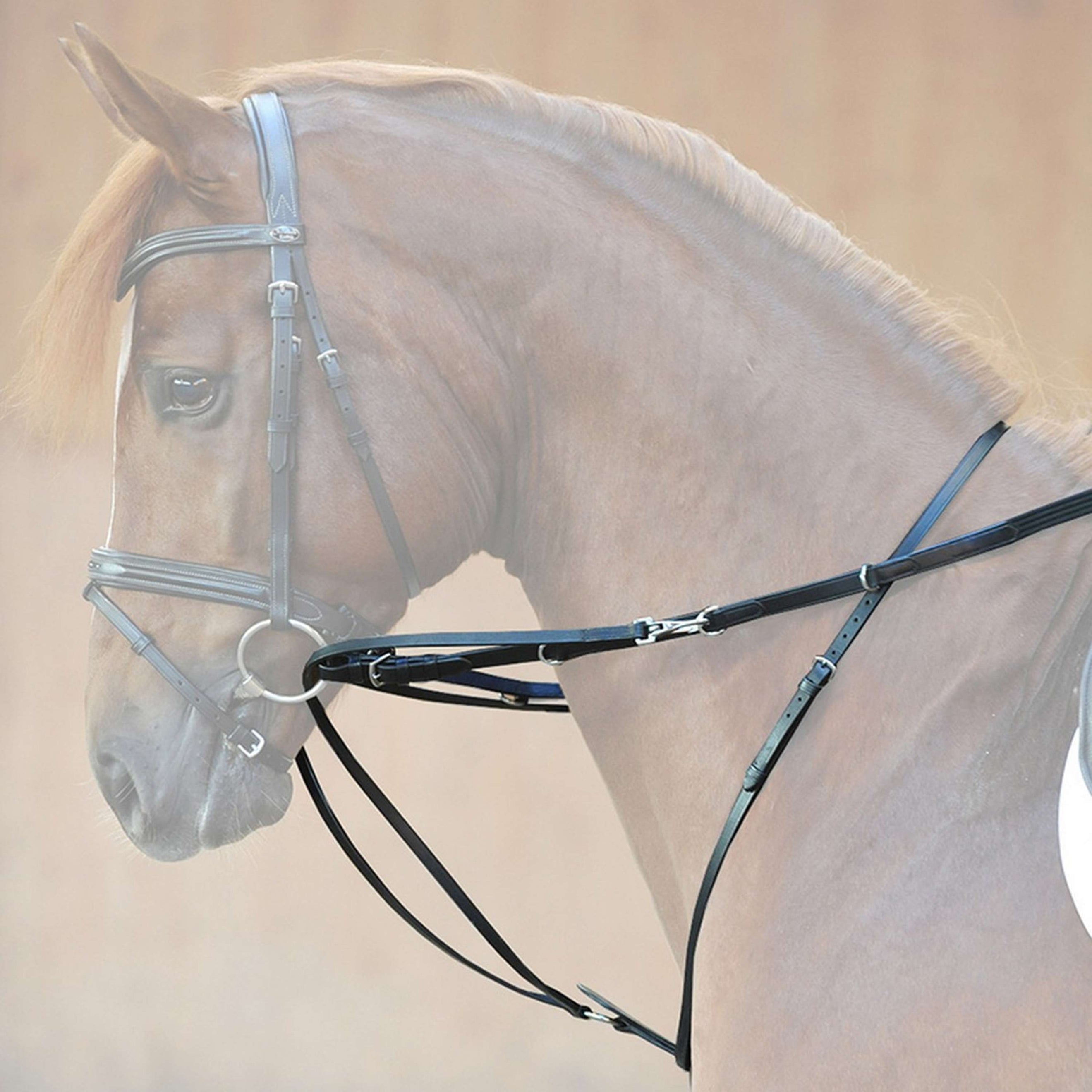 Kavalkade Riendas Thiedemann Negro